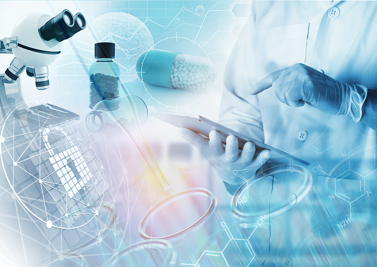 SLU-PP-332 Scientific research | Shaanxi BLOOM Tech Co., Ltd SLU-PP-332 Scientific research | Shaanxi BLOOM Tech Co., Ltd