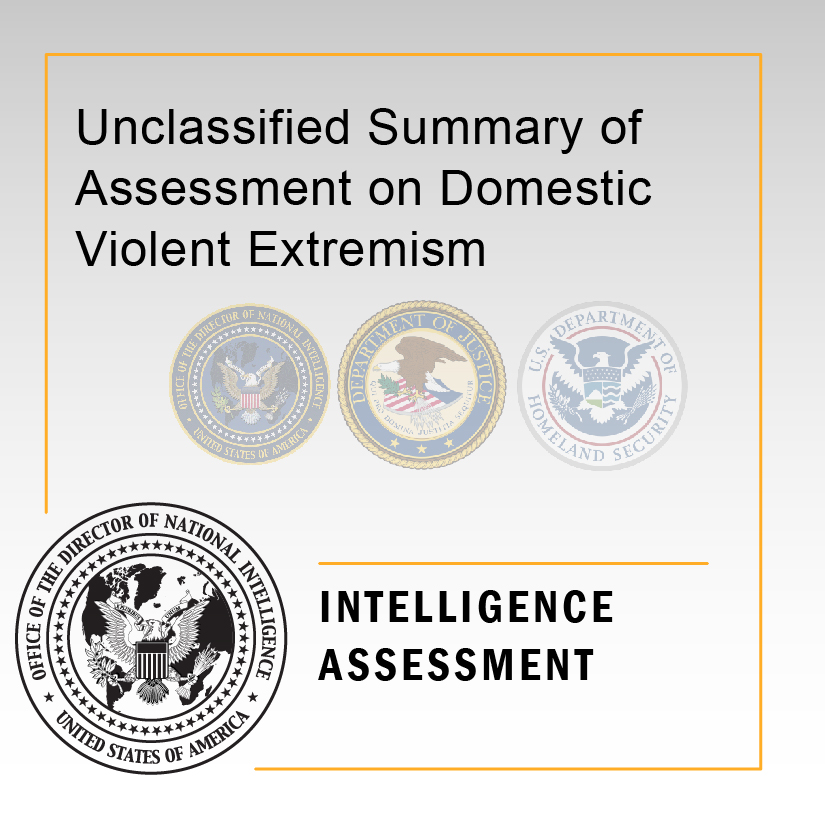 Domestic Violent Extremism