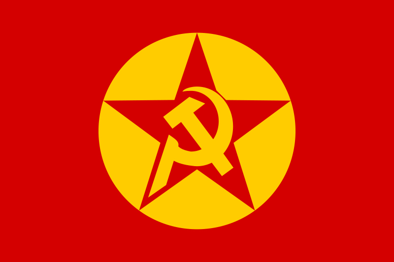 DHKP/C flag