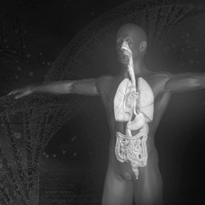 Effects of Anthrax Interactive